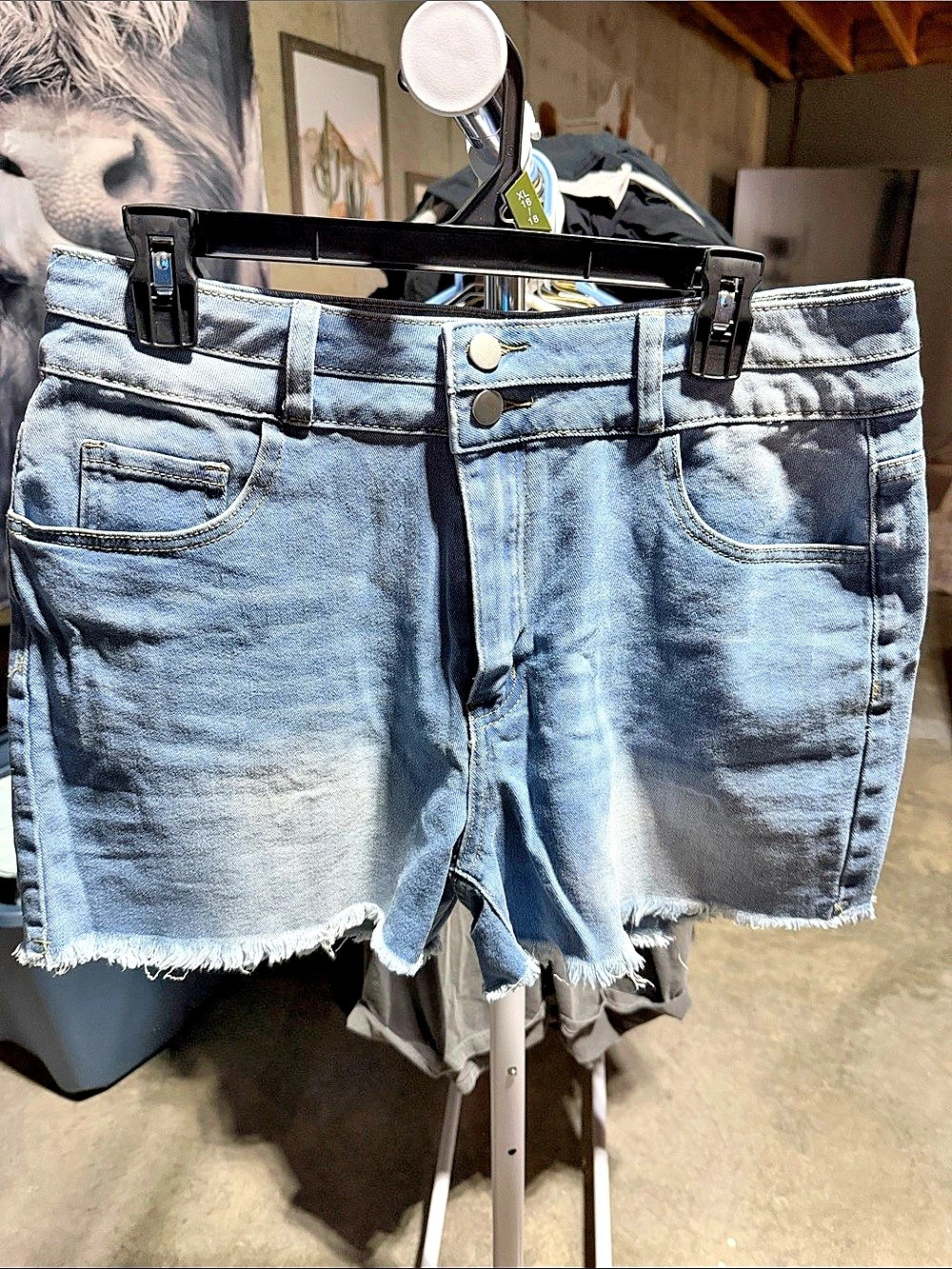 Women's Denim Jean Shorts Blue XL